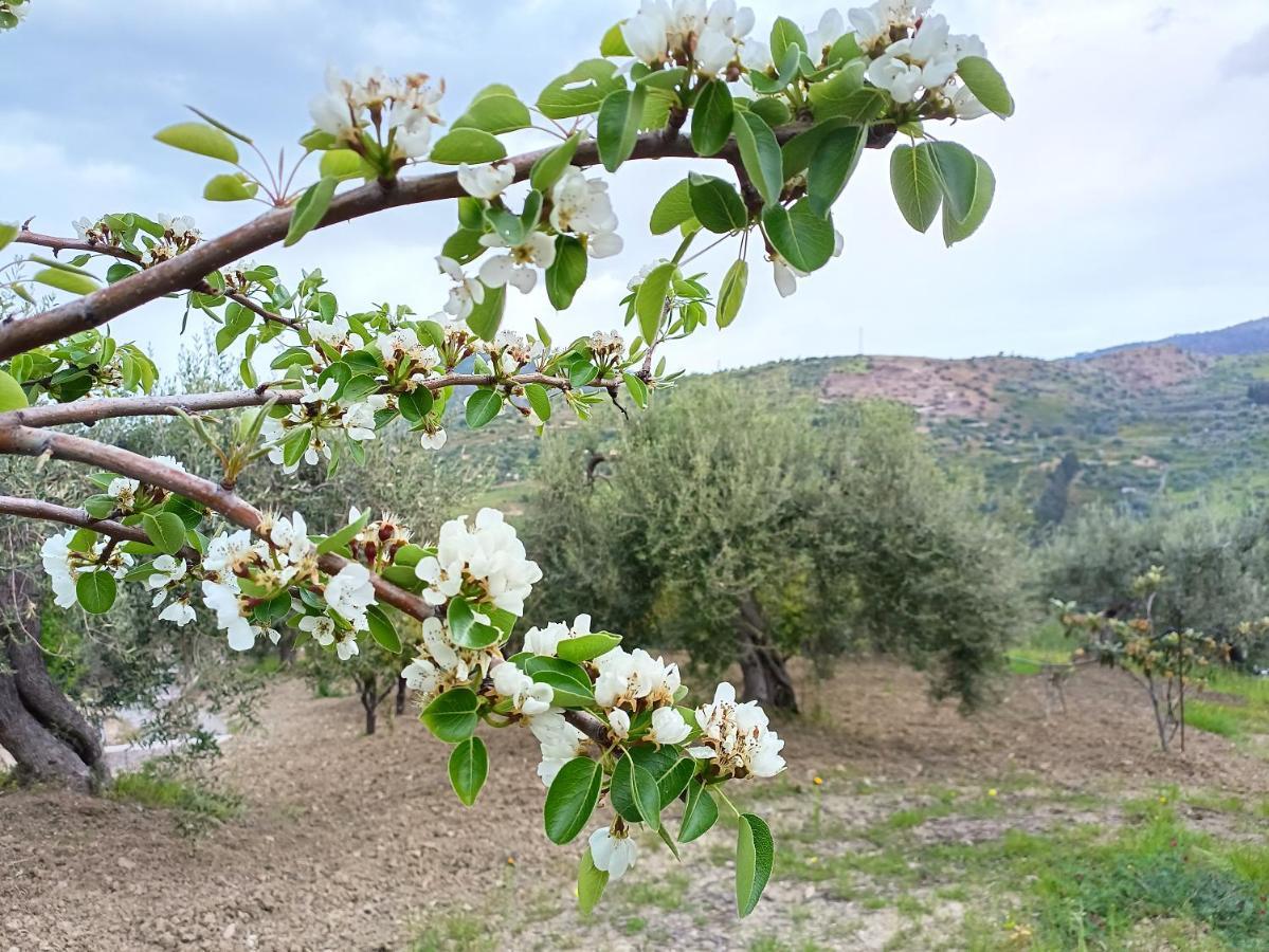 הוילה לסקארי Agriturismo Le Campanelle - Sicilia - Cefalu מראה חיצוני תמונה