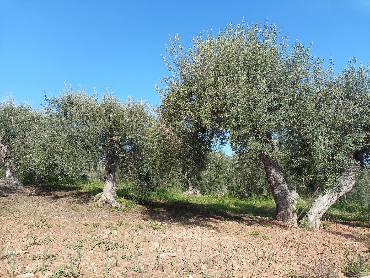 הוילה לסקארי Agriturismo Le Campanelle - Sicilia - Cefalu מראה חיצוני תמונה