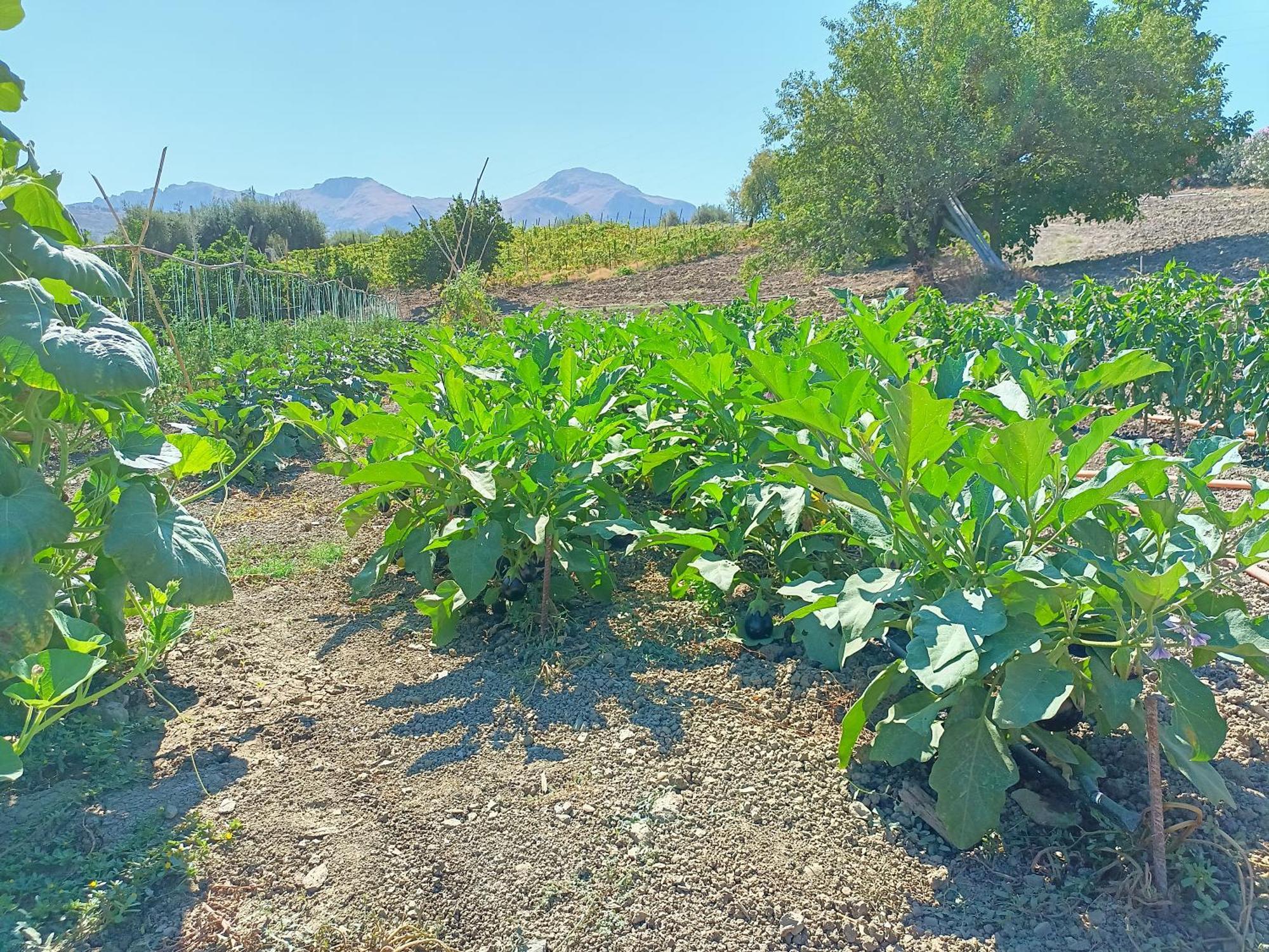 הוילה לסקארי Agriturismo Le Campanelle - Sicilia - Cefalu מראה חיצוני תמונה