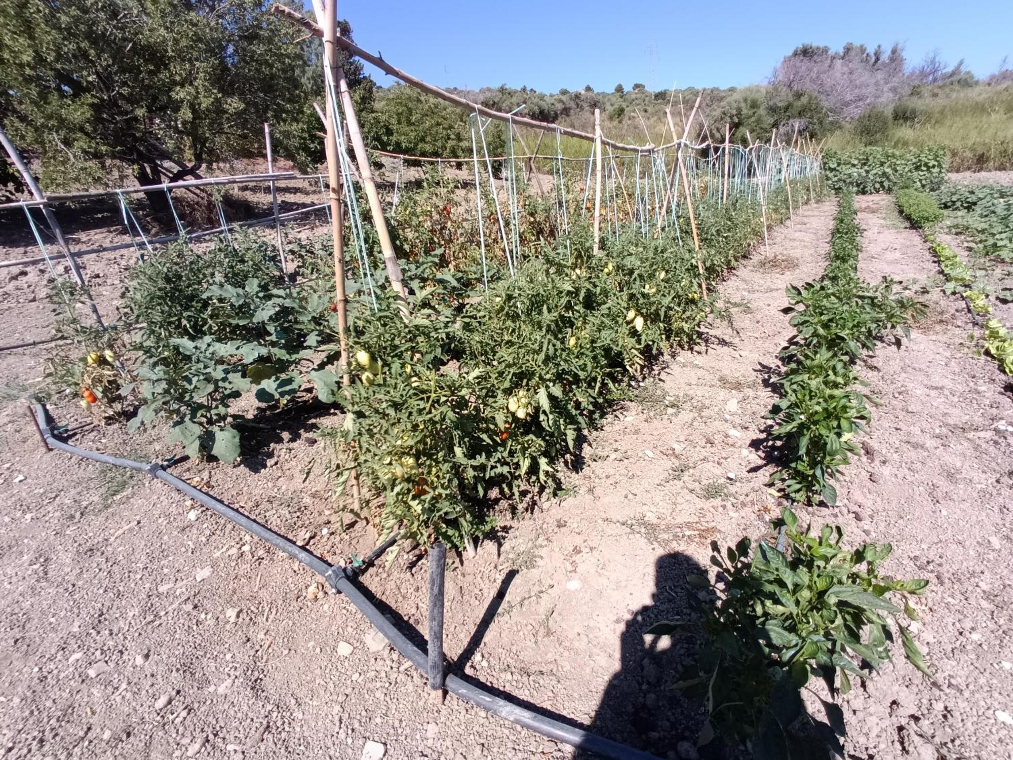 הוילה לסקארי Agriturismo Le Campanelle - Sicilia - Cefalu מראה חיצוני תמונה