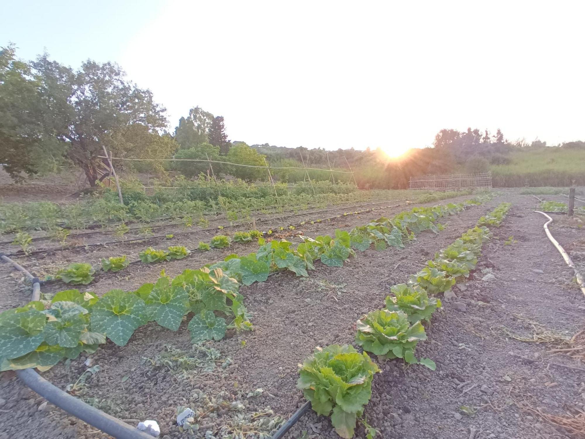 הוילה לסקארי Agriturismo Le Campanelle - Sicilia - Cefalu מראה חיצוני תמונה