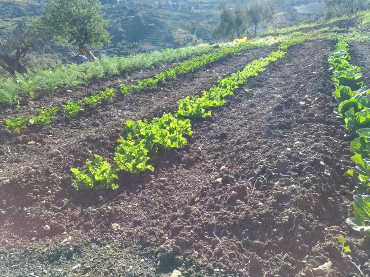 הוילה לסקארי Agriturismo Le Campanelle - Sicilia - Cefalu מראה חיצוני תמונה